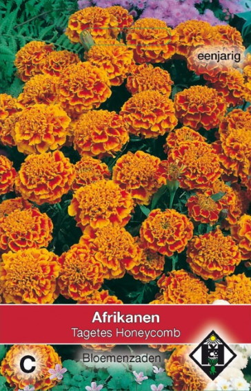 African Marigold Honeycomb (Tagetes patula) 200 seeds